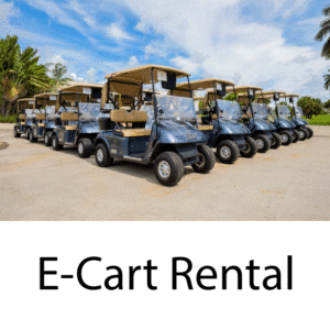 e-carts